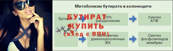 индика Бородино